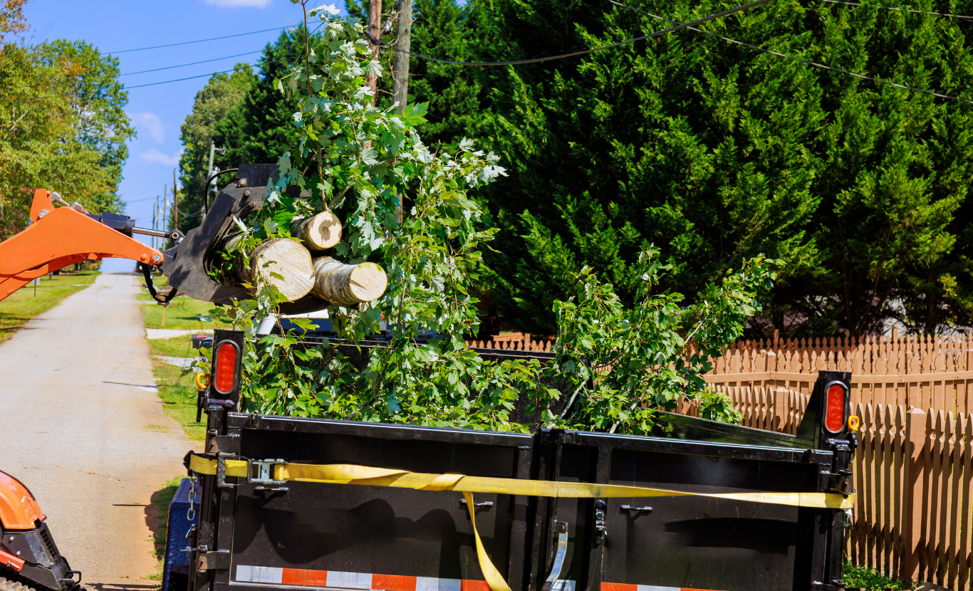 does home insurance cover tree removal