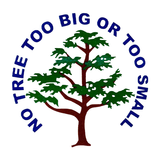 Matt's Maintenance Tree Service